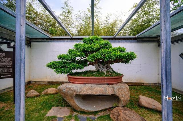黄山微商（黄山鲍家花园，一个让人印象深刻的徽州老故事）
