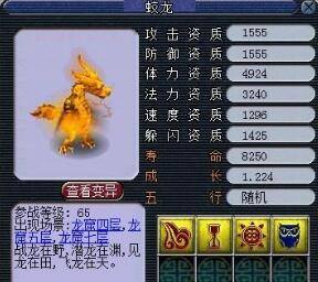 梦幻西游跑环赚钱吗（梦幻西游宝宝环必备常识和技巧）