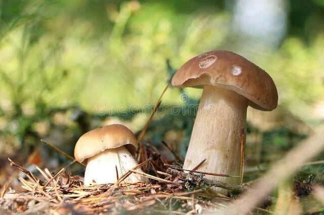 工作不好找怎么办?（拿工作不好找来吓唬谁？谁没个失业的时候）