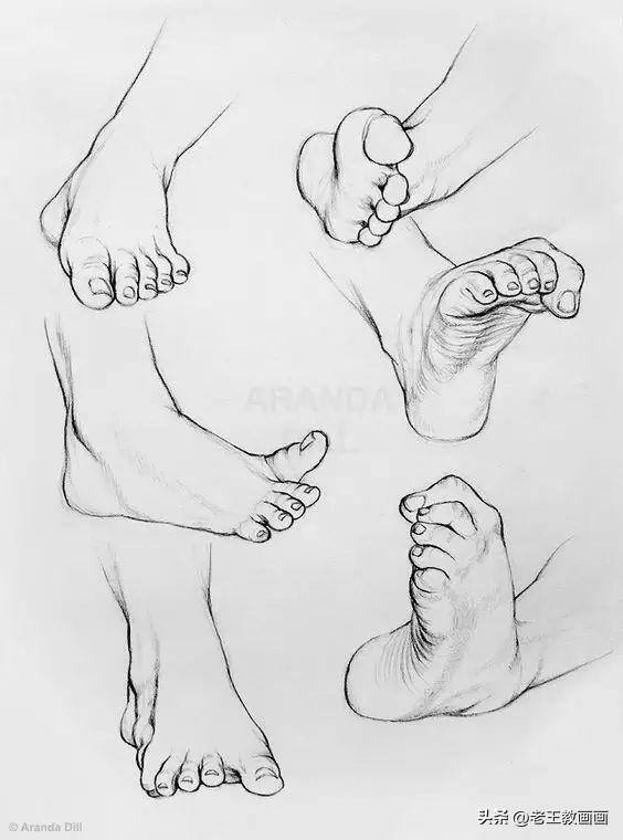 画画教学（50个素描基础教程）