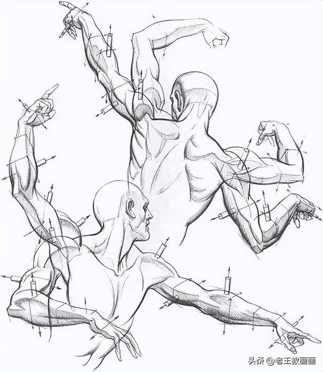 画画教学（50个素描基础教程）