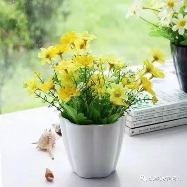 二年级绘画图片大全简单漂亮（我和小作者的故事）