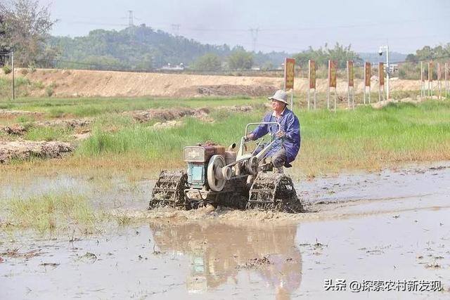 农村现在做什么能致富（现在农村能赚钱的方法，或许跟很多地方一样）