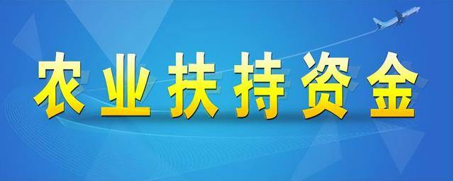 农村创业国家扶持项目有哪些（国家支持的农村创业项目）