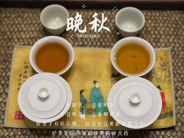 卖茶叶生意怎么样（岩茶小白的心得）