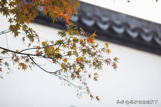 怎么挣钱快又现实（30周年聚会的幂律分布）
