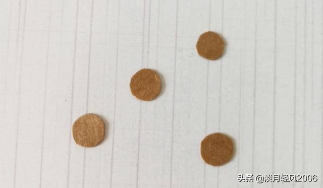 用废品做手工（幼儿园手工：废纸粘贴画）