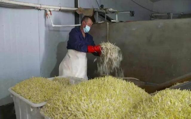 小生意投资什么项目比较好（市场上一万元起步的小生意，一年能赚多少钱？）