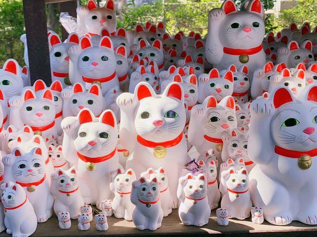 发财毛一般长在哪里（日本旅行攻略之“招财猫”）