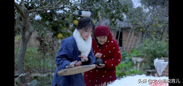在家无聊怎么办（李子柒的厨房生活）
