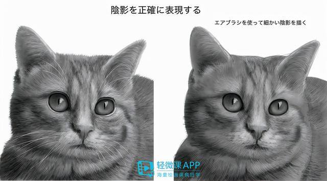 动物怎么画简单又漂亮（如何画出小动物？动物简单画法技巧！）