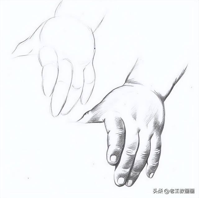 怎么学画画（素描入门教程）