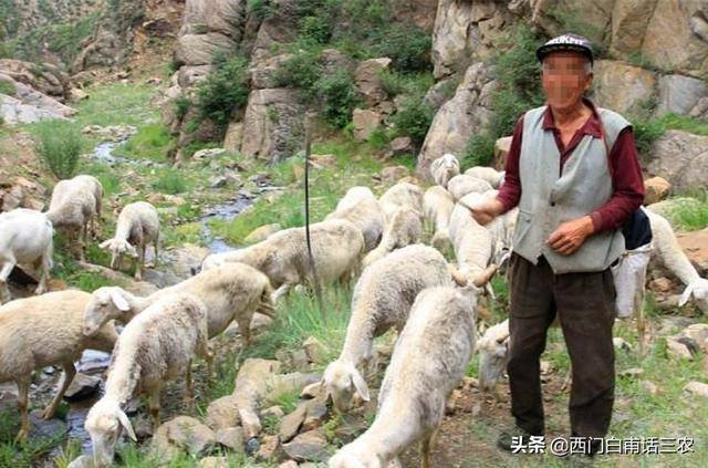 在农村做什么（荆条筐的编织方法）
