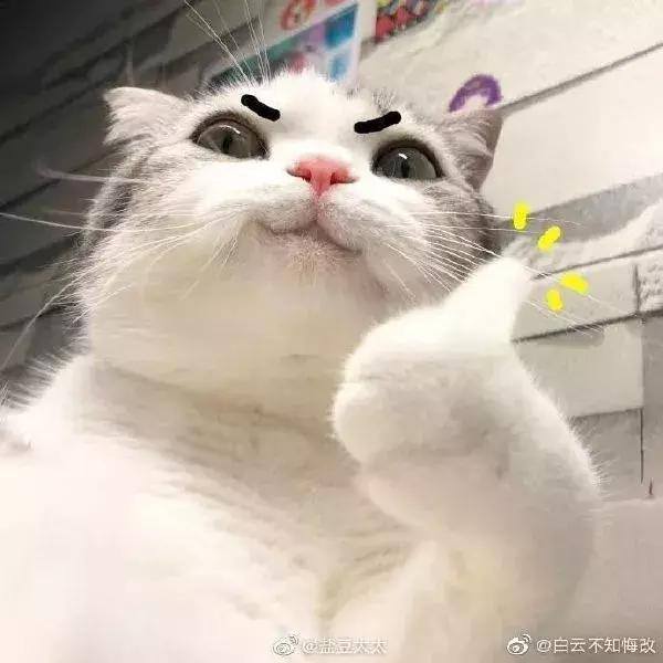 腾讯搜活帮真的可以赚到钱吗（大学生如何利用业余时间赚钱？）