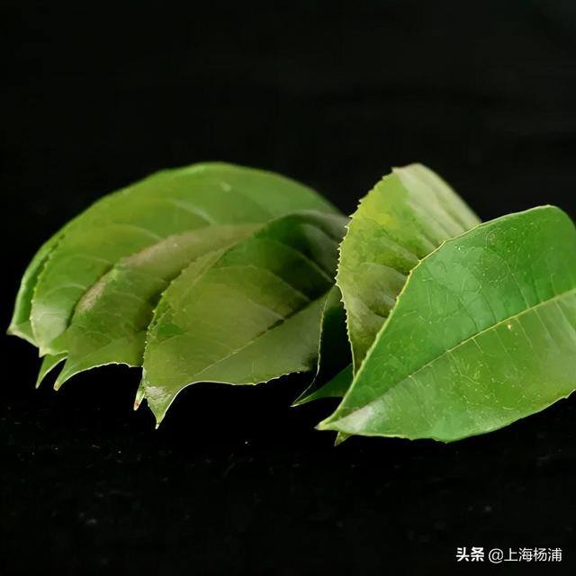 用废旧物品做手工简单又漂亮（手把手教你做“叶脉书签”）