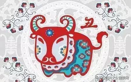 属猪做什么最容易发财（十二生肖最容易在这个月份发大财）
