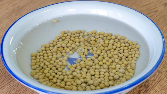 怎样在家发豆芽（自己发的豆芽健康又脆嫩，随便炒一炒也超级好吃）
