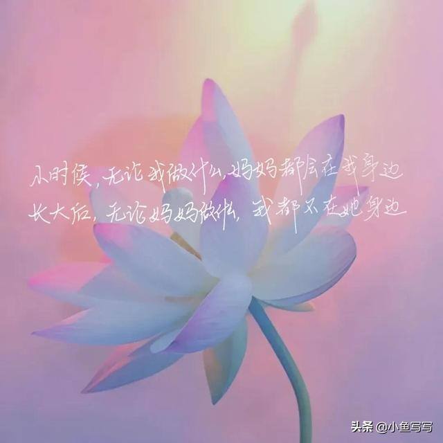 微信动态表情包怎么添加（教老妈添加微信动画表情包）