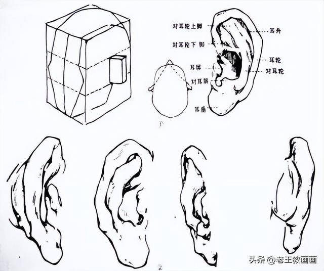 画画教学（50个素描基础教程）