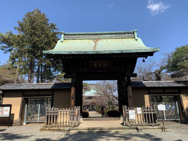 发财毛一般长在哪里（日本旅行攻略之“招财猫”）