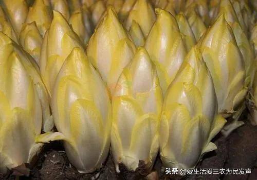 什么生意简单好做利润高（年后做什么小生意比较好？）
