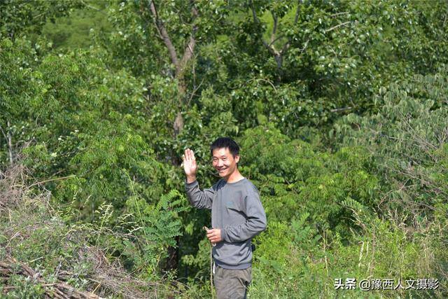 养100只羊一年能赚多少钱（回农村创业，买100只羊最少需要多少钱？）