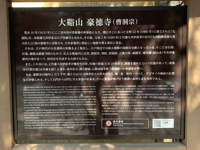 发财毛一般长在哪里（日本旅行攻略之“招财猫”）