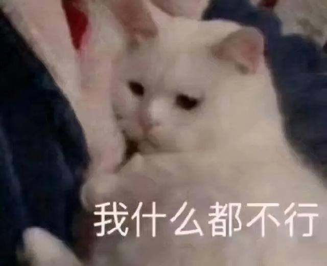 如何学习编程（大学生如何学好编程？）