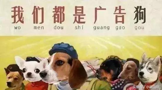 闲来趣玩真的能赚钱吗（你在深圳多久了？）