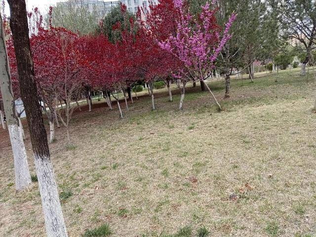 赚钱的门路（赚钱新门路）