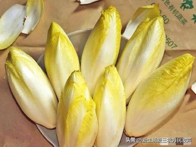 种什么菜好卖又赚钱（紫色白菜、紫色大白菜、紫色大白菜、紫色大白菜、紫色大白菜）