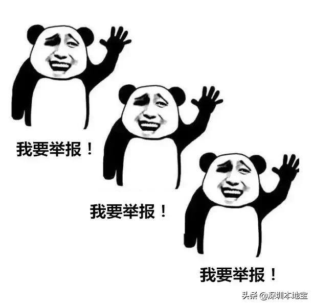 随手拍违章赚钱（交通违法举报有奖！）