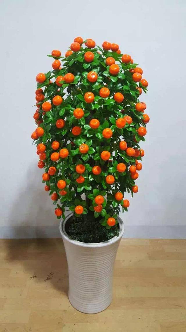 风水十大吉祥花（家里养这几种花卉，寓意着财运到金玉满堂，日进斗金，堆金如玉）