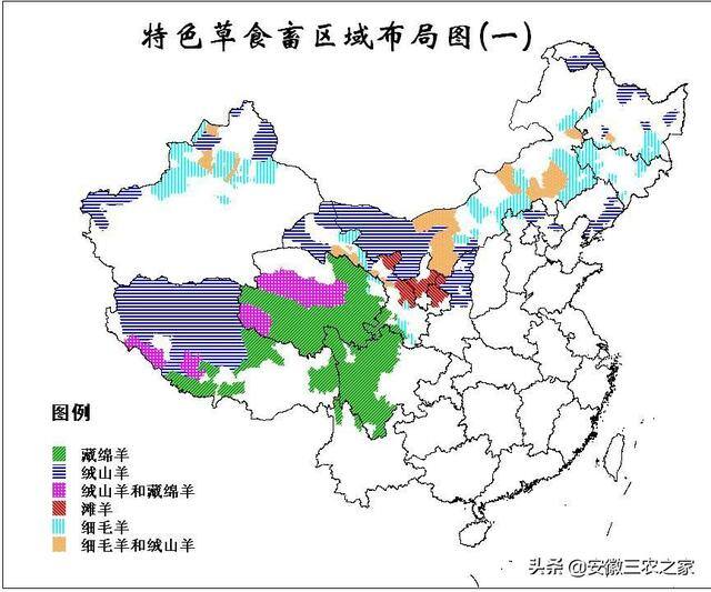 小型养殖什么最赚钱（农村大哥养殖1000只小羊羔，一个月收入30万！）