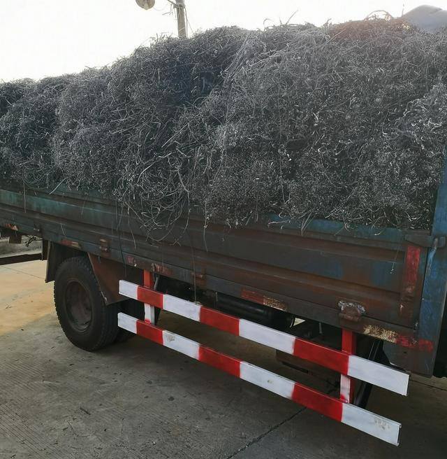 想做点小本生意不知道做什么好呢（废铁废钢行业怎么样？）
