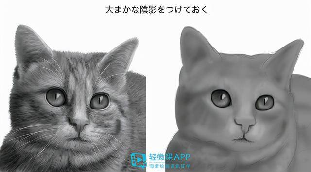 动物怎么画简单又漂亮（如何画出小动物？动物简单画法技巧！）