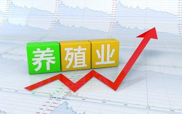 农村小面积养殖什么好（农村养殖什么比较赚钱）