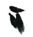 画蜻蜓又简单又漂亮（蜻蜓的基本画法蝗虫的基本画法）