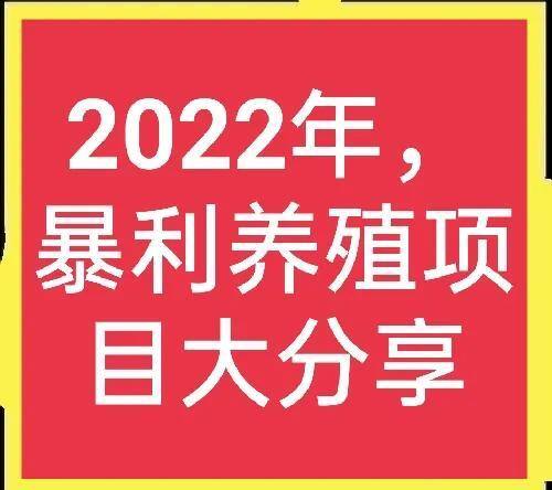 目前养殖什么最挣钱（农村养殖田螺、蚯蚓、肉狗、香鹑雁、肉狗、肉狗哪个好？）