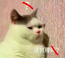 有哪些可以赚钱的软件（存不下钱怎么办？）