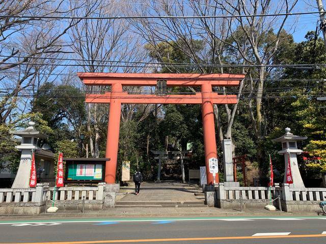发财毛一般长在哪里（日本旅行攻略之“招财猫”）
