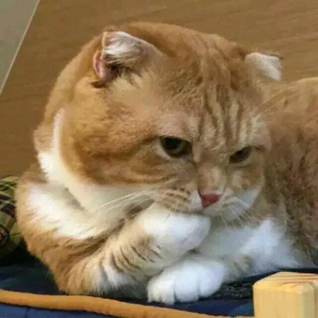 腾讯搜活帮真的可以赚到钱吗（大学生如何利用业余时间赚钱？）