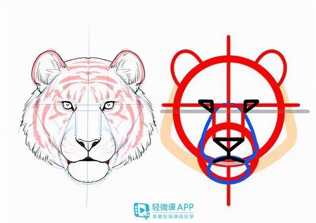 动物怎么画简单又漂亮（如何画出小动物？动物简单画法技巧！）