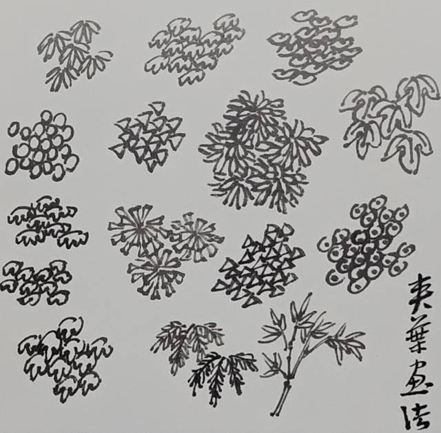 大树怎么画简单又好看（中国画画树的画法）