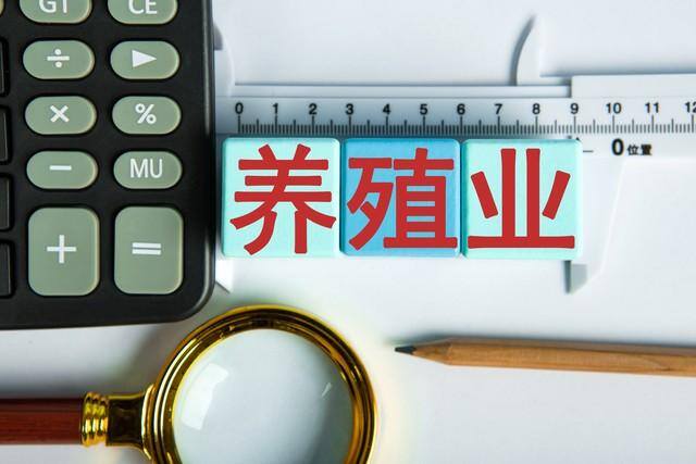 农村养殖业什么最稳（在农村养殖什么最合适）