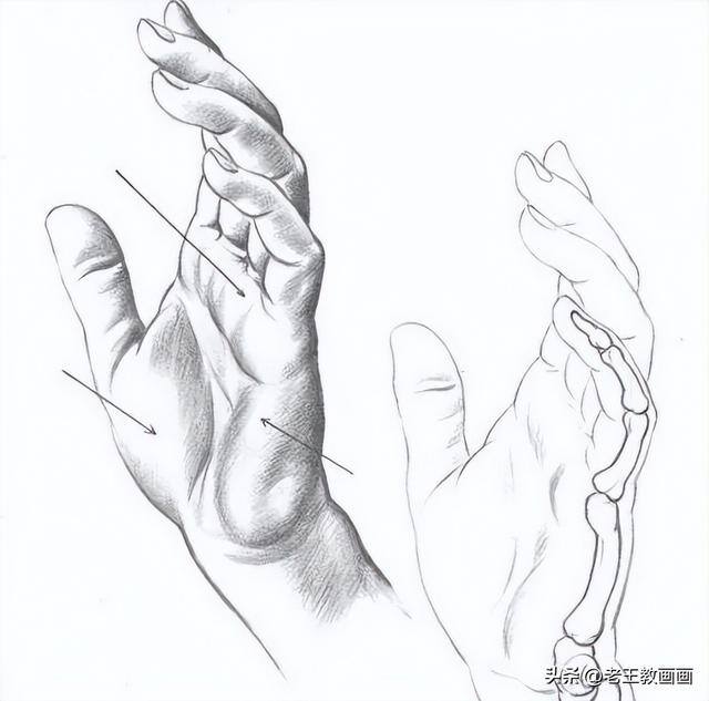 怎么学画画（素描入门教程）