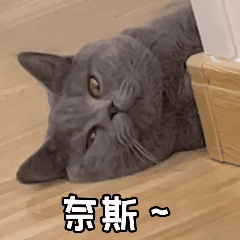 微信动图表情包制作（元宝小爷微信表情包教程）