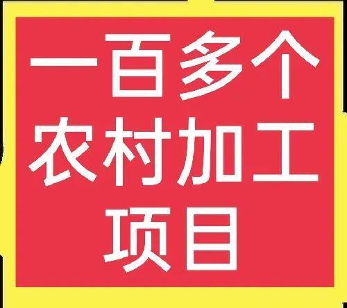 家庭办厂项目废纸加工（农村创业项目有哪些？）