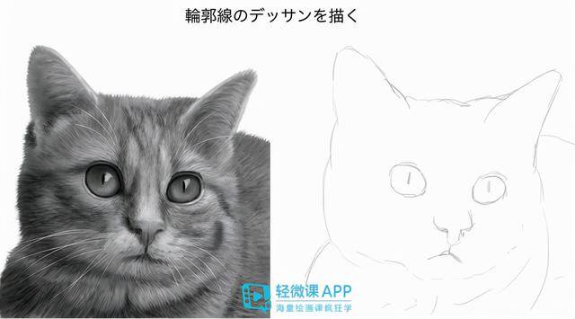 动物怎么画简单又漂亮（如何画出小动物？动物简单画法技巧！）