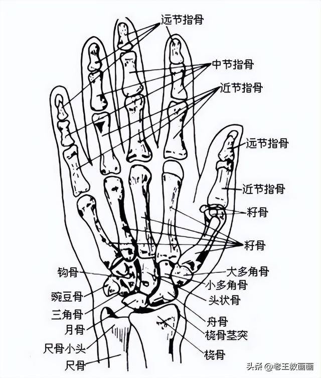 画画教学（50个素描基础教程）